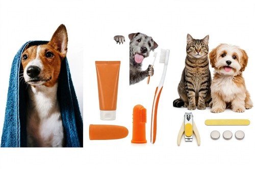 Kit bello profumato dog - e,